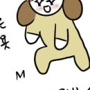 청춘당찹쌀꽈배기 이미지