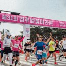 보문관광단지 이미지