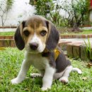 세화약국 이미지