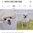 마이티그루밍 이미지