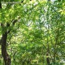 우면생태놀이터 이미지