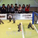 갯지렁이 전시관 이미지