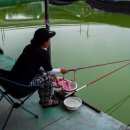 배양낚시터 | 양어장 붕어낚시 평일 출조 후기