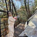 stay 화목 이미지