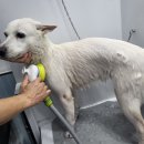 개포동월드 이미지