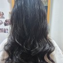 헤어랑스파