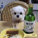 오덴 이미지