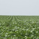 성은비료 이미지