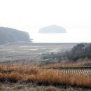 창촌목장 네이버블로그