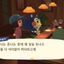 둥지카페 네이버블로그