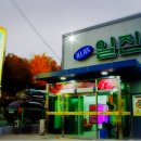 일진정육