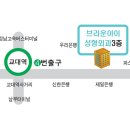 [브라운아이성형외과] 실리프팅_녹는 실 VS 녹지 않는 실 이미지