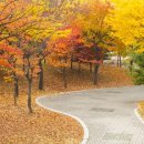 (주)양평수도