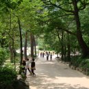 동천민박 이미지