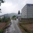 신천리-1 이미지