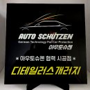 디테일러스개러지