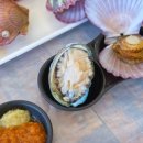 속초자연횟집 이미지