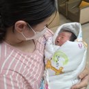 신창요양병원(신관) | 일기 : 일산 그레이스병원 / 자연분만 입원 / 2박3일 입원 후기 / 초산모 자연분만 / 신관특실 소에서...