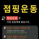 초지V점핑
