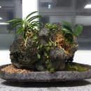 안덕중학교 이미지