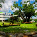 곡성중학교 이미지