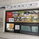 문경 철로자전거(구랑리역) 이미지