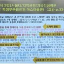 강대마이맥