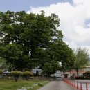 한재초등학교 이미지