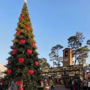 크리스컨테이너 | 잠실 롯데타운 크리스마스마켓 방문후기(feat. 주차, 예약,팝업스토어,포토존)