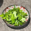 팔공산온천랜드(주) | 팔공산 쌀국수 맛집 추천 정통 베트남 쌀국수 포연 | 소곱창쌀국수, 분짜 솔직후기