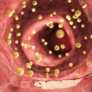 연세라이프내과의원 이미지