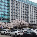 본도시락 영종도운서점 네이버블로그