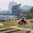 양평토종학교 네 번째. 4.9 이미지