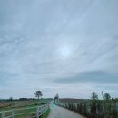 송영신목장 | 안성 나들이/이국적인 느낌적인 느낌 '안성목장', 그림 같은 목장으로