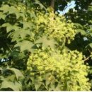 봉춘여관 이미지