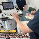 아케이드 W.W | 신생아 아기 심잡음 심장 초음파 후기_선천성 심장병 동맥관 개존증(PDA) 진단 원인 증상 치료