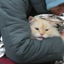 명탐정 행정사사무소 이미지