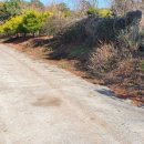 접시꽃민박 이미지