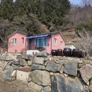 합천블루베리