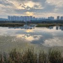 화랑유원지(제1주차장) 이미지