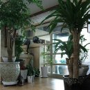 보양식당 이미지