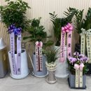 본큐어한의원 이미지