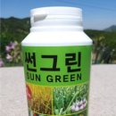 썬그린