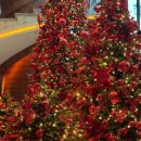 피자헤븐(영등포점) | 콘래드 서울 제스트 주말 런치 이용후기, 크리스마스, 연말 연초모임 추천, 호텔뷔페추천