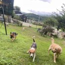 푼타하우스 이미지