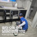 미소방역소독 | 횡성 소독 방역 빌라 날파리 싹 잡은 후기!