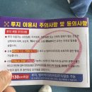 안심산길 | [여수 놀거리 추천] 여수 유월드 루지 테마파크 플렉스 콤보 솔직후기 (시간대 및 동선 추천)