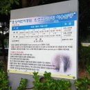 효성어린이공원 (JC공원) 이미지