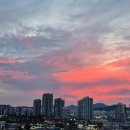 쉐덴공인중개사사무소 이미지