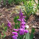 남지농협주유소 이미지